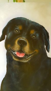 Dog 1x1 meter