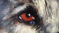 Detail hond 1x1 meter